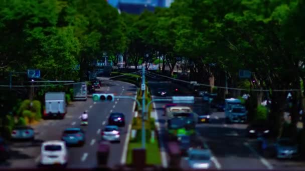 Un timelapse de rue verte près du parc Yoyogi à Tokyo tiltshit diurne — Video