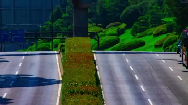 En timelapse av grön gata nära Yoyogi park i Tokyo dagtid långsökt — Stockvideo