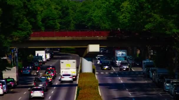 Un timelapse di strada verde vicino al parco Yoyogi a Tokyo diurna panning long shot — Video Stock