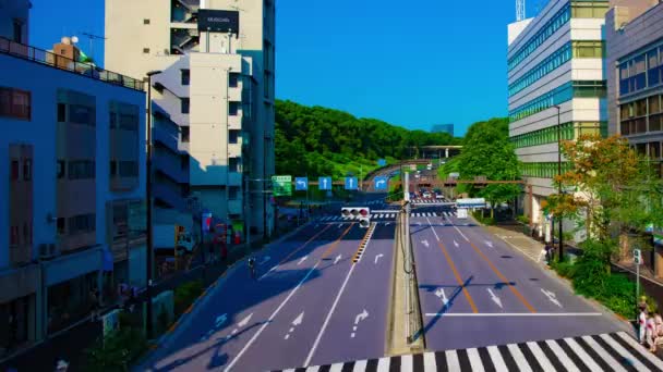 东京友地公园附近的一条绿街经过了很长时间，大开了一枪 — 图库视频影像