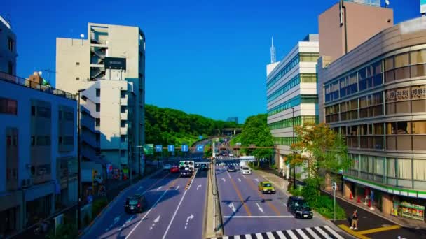 Uma timelapse de rua verde perto do parque Yoyogi em Tóquio — Vídeo de Stock