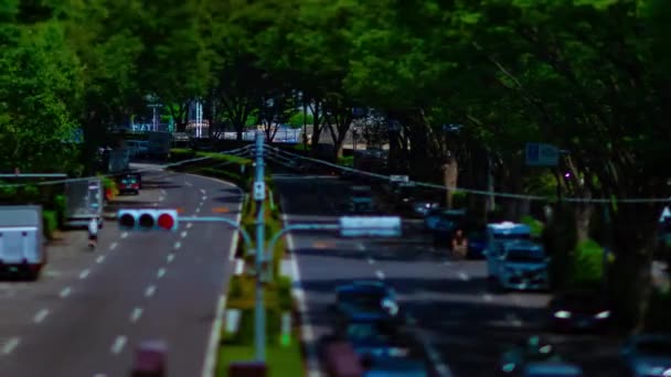 Чаммелапс зеленої вулиці біля парку Йойогі в Токіо. — стокове відео