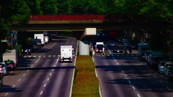 A timelapse of green street near Yoyogi park in Tokyo daytime long shot panning — Stock Video