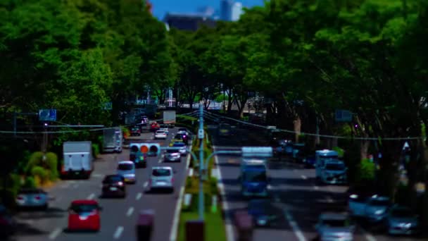 Un timelapse de calle verde cerca del parque Yoyogi en Tokio tiltshit diurno — Vídeos de Stock