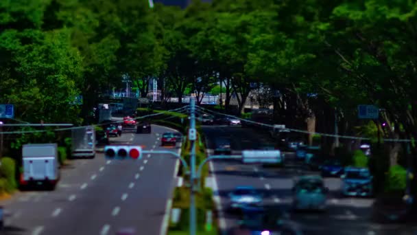 En timelapse av grön gata nära Yoyogi park i Tokyo dagtid tiltshit — Stockvideo