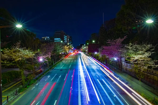 Tokyo 'da Yasukuni Bulvarı' nda Cherry Caddesi.