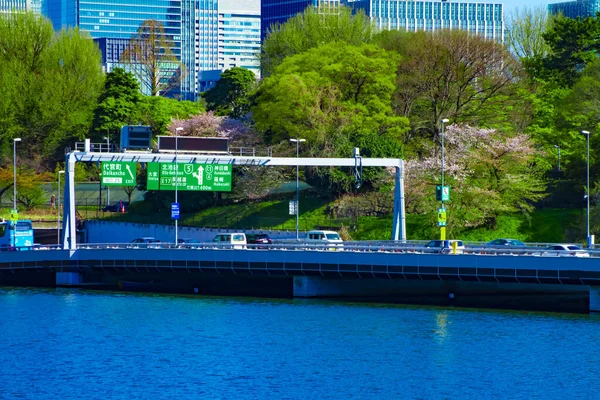 Een Chidorigafuchi waterplas met kersenbomen in Tokio in het voorjaar breed schot — Stockfoto