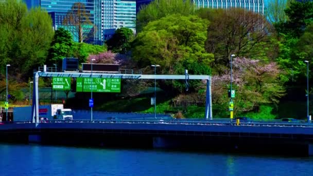 Vratná doba rybníka Chidorigafuchi s třešněmi v Tokiu na jaře — Stock video