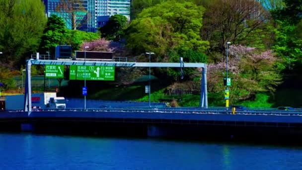 Ein Zeitraffer von chidorigafuchi Teich mit Kirschbäumen in Tokio im Frühling lange Aufnahme — Stockvideo