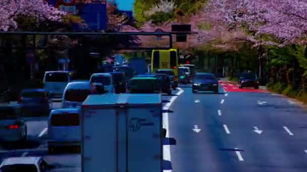 Uma timelapse da rua cereja na avenida Yasukuni em Tóquio tiro longo — Vídeo de Stock