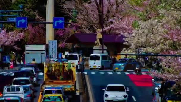 Timelapse wi niowego ulicy na Yasukuni alei w Tokio d ³ ugi strzał — Wideo stockowe