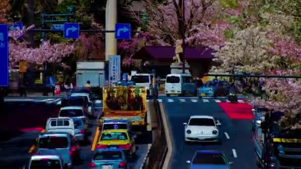 Timelapse wi niowego ulicy na Yasukuni alei w Tokio d ³ ugi strzał — Wideo stockowe