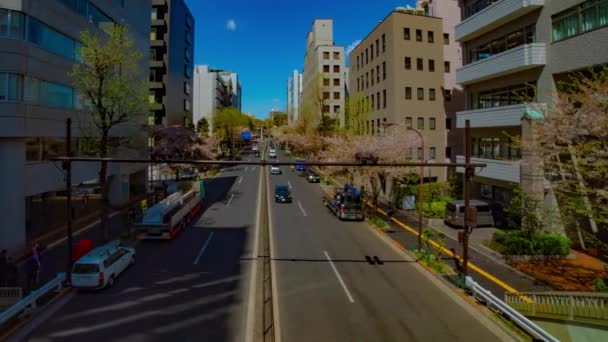 Un timelapse de la calle Cherry en la avenida Yasukuni en Tokio panorámica de tiro ancho — Vídeo de stock