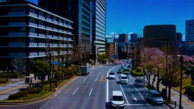 Tokyo 'daki Yasukuni Bulvarı' ndaki Cherry Caddesi 'nin zaman çizelgesi.