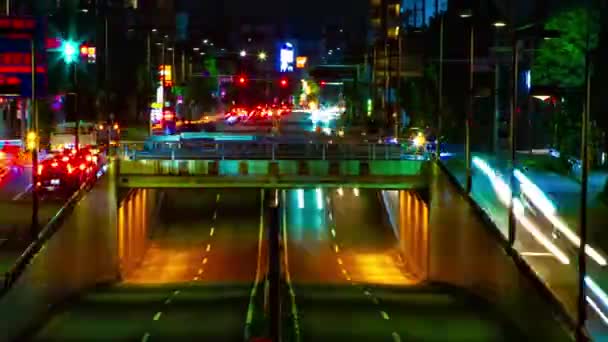 Setagaya Tokyo uzun atış şehir merkezinde şehir sokak bir gece timelapse — Stok video