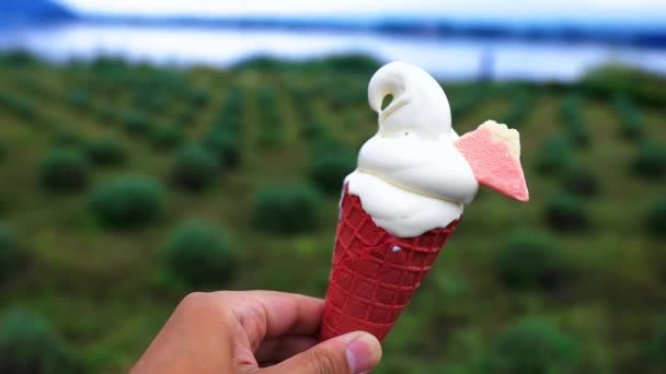 Un helado suave con la mano detrás del jardín y el lago — Vídeo de stock