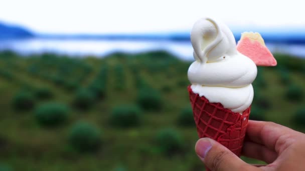 Мягкое мороженое с рукой за садом и озером — стоковое видео