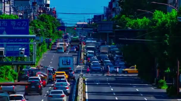 Een timelapse van Downtown Street aan Kanpachi Avenue in Tokio overdag lang schot — Stockvideo