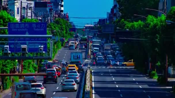 Un timelapse de la calle del centro en la avenida Kanpachi en Tokio tiro largo diurno — Vídeo de stock