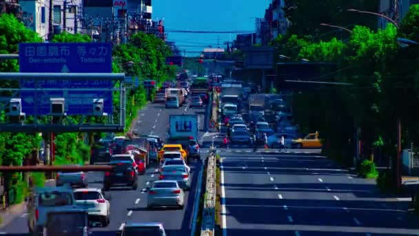 Een timelapse van Downtown Street aan Kanpachi Avenue in Tokio overdag lang schot — Stockvideo