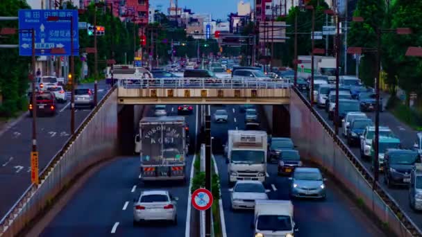 Een timelapse van Downtown Street aan Kanpachi Avenue in Tokio overdag lang schot — Stockvideo