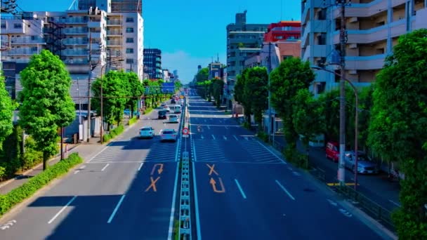 Sebuah timelapse dari pusat kota jalan di Kanpachi avenue di Tokyo siang hari tembakan lebar — Stok Video