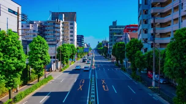 Μια χρονική χρονική διάρκεια της οδού κέντρο στη λεωφόρο Kanpachi στο Τόκιο την ημερήσια βολή — Αρχείο Βίντεο