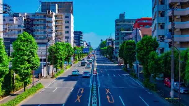 Uma timelapse da baixa da rua na avenida Kanpachi em Tóquio — Vídeo de Stock