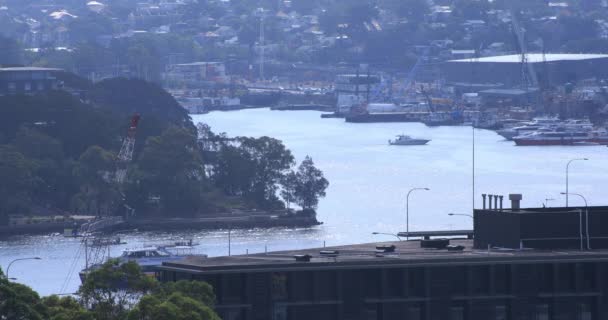 Un bateau en mouvement sur la rivière à Sydney long shot — Video