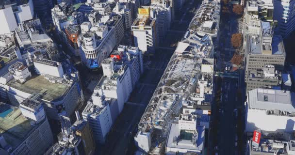 Un paysage urbain panoramique à Tokyo grand angle — Video