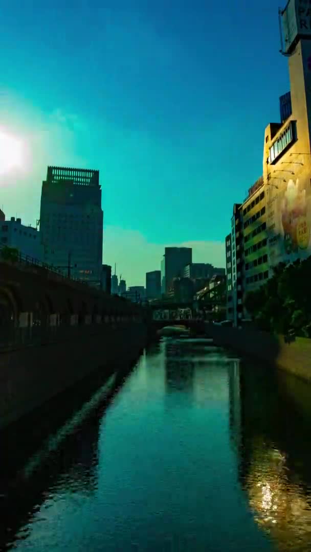 토 오쿄 오 의 만세이 다리에 있는 한강 — 비디오
