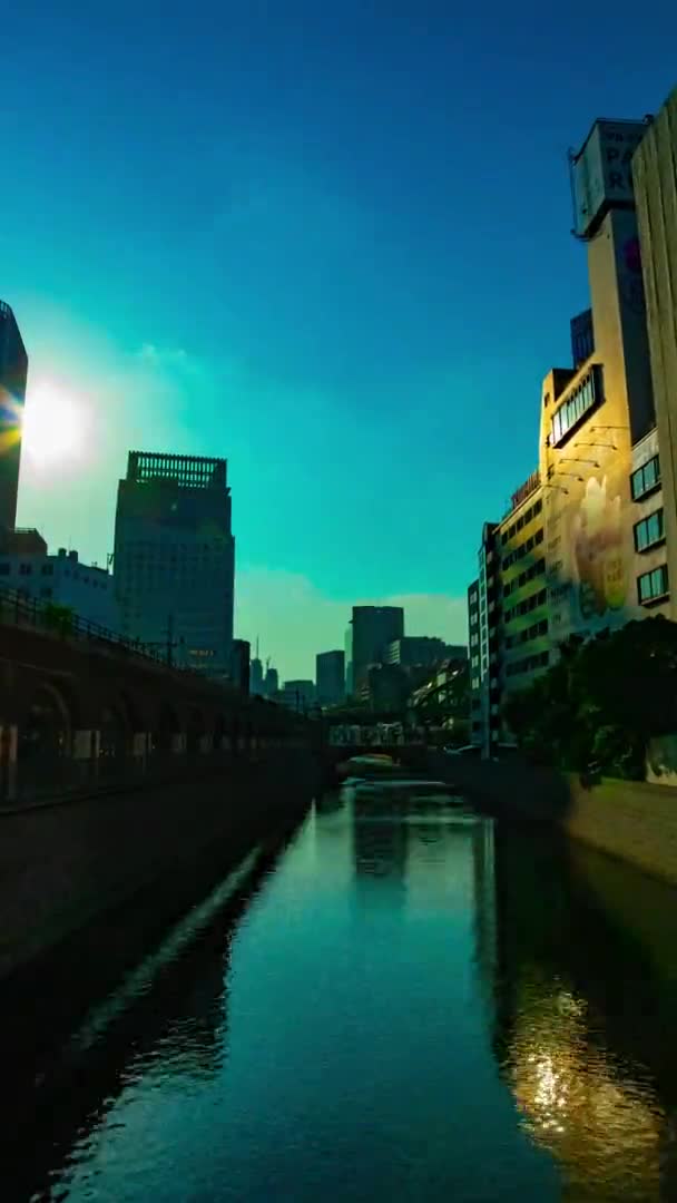 En timelapse av floden vid Mansei bron i Tokyo vertikal skott zoom — Stockvideo
