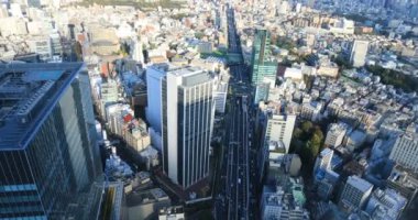 Tokyo 'nun şehir merkezinde panoramik bir şehir manzarası.