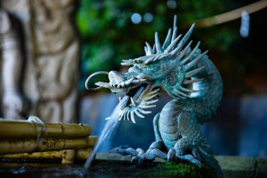 Tokyo 'daki Meguro Fudo Tapınağı' ndaki Chozuya 'da bir ejderha heykeli.