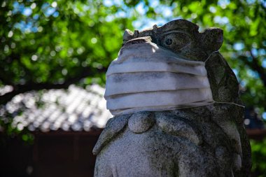 Tokyo 'daki Meguro Fudo Tapınağı' nda maskeli bir koruyucu köpek heykeli.