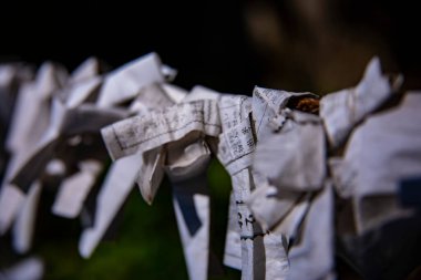 Tokyo 'daki Meguro Fudo Tapınağı' nda Kahin