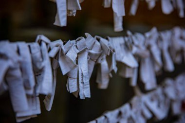 Tokyo 'daki Meguro Fudo Tapınağı' nda Kahin