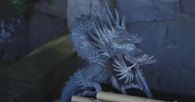 Tokyo 'daki Meguro Fudo Tapınağı' ndaki Chozuya 'da bir ejderha heykeli.