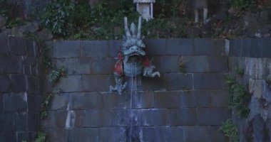 Tokyo 'daki Meguro Fudo Tapınağı' ndaki Chozuya 'da bir ejderha heykeli.