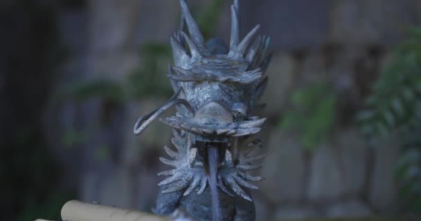 Статуя дракона в Чизуе в храме Мэгуро Фудо в Токио крупным планом — стоковое видео