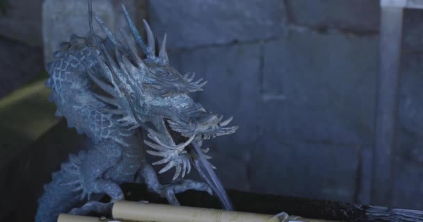 Статуя дракона в чозуе в храме Мэгуро Фудо в токийском копипространстве — стоковое видео