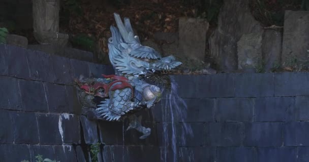 Una estatua de dragón en el chozuya en el templo Meguro fudo en Tokio de mano — Vídeos de Stock