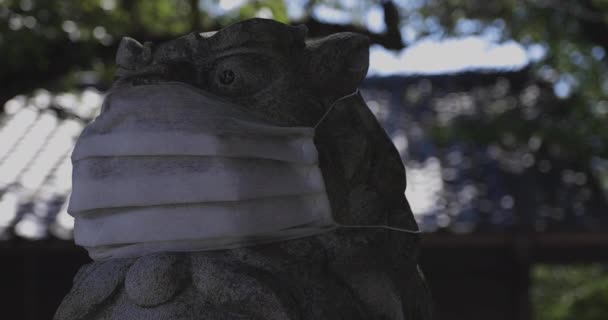 Eine Statue des Schutzhundes mit Maske im Meguro Fudo Tempel in Tokio — Stockvideo