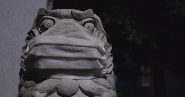 Tokyo 'daki Meguro Fudo Tapınağı' nda maske takan koruyucu köpek heykeli.