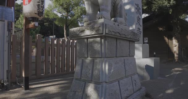Eine Statue des Schutzhundes mit Maske im Meguro Fudo Tempel in Tokio kippt um — Stockvideo
