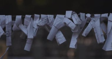 Tokyo 'daki Meguro Fudo Tapınağı' nda kahin.