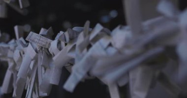 Tokyo 'daki Meguro Fudo Tapınağı' nda Kahin