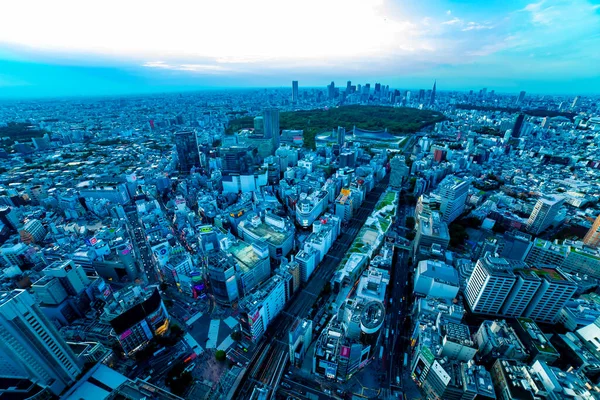 Een schemering panoramisch stadsgezicht op Shibuya gebied hoge hoek brede schot — Stockfoto