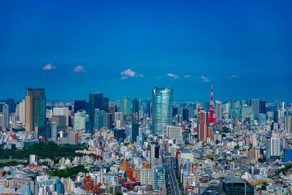 Een stad landschap bij Roppongi gebied in Tokio wijd shot hoge hoek — Stockfoto