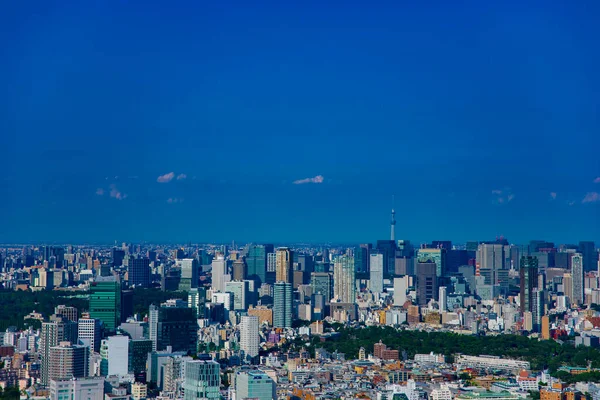 Uma paisagem urbana na área de Aoyama atrás de Tóquio céu árvore ângulo alto — Fotografia de Stock
